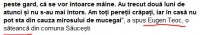 adevarul de seara