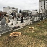 cimitirul central bacau